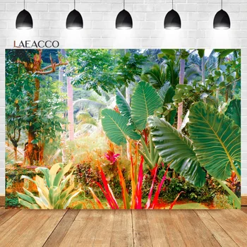 На фона на Тропически остров Laeacco, Зелена Пролет, Кокосови палми, Лятна тема, Празнична парти, на Фона на портретна фотография за деца